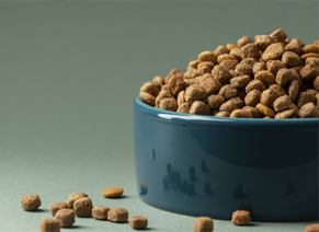 Pet Food Donation